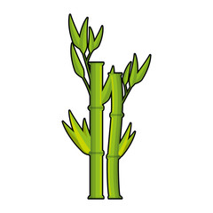  bamboo stem with leaves icon over white background colorful design vector illustration