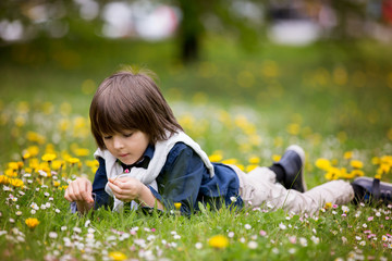 Wall Mural - Sweet child, boy, gathering dandelions and daisy flowers