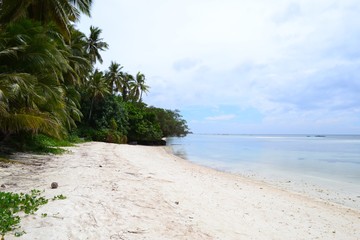 Philippines beach with coconut and ocean view