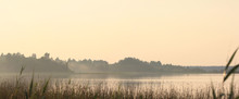 Panoramic View Of The Shore Of The Forest Lake In The Fog