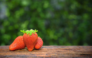 strawberries in natural background