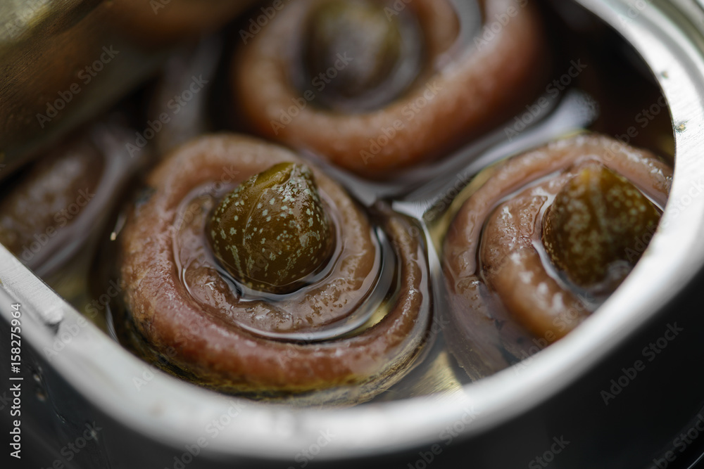 Anchovy rolls with capers in olive oil in tin. Close up - obrazy, fototapety, plakaty 