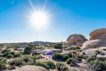 Sun Rays Over Boulder Formations And Desert Plants At Joshua Tree National Park In Southern California.