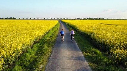 Wall Mural - aerial video of two people cycling on asphalt road in countryside between yellow fields in beautiful landscape, bicycle sport