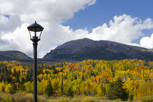 Summit County Autumn Colors On Buffalo Mountain