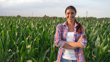 Beautiful Girl (woman) Farmer Smiling, Looking, Checking Cornfield, Young Tanned, Green Background. Concept: Ecology, Corn, Bio Product, Inspection, Water, Natural Products, Professional, Environment.