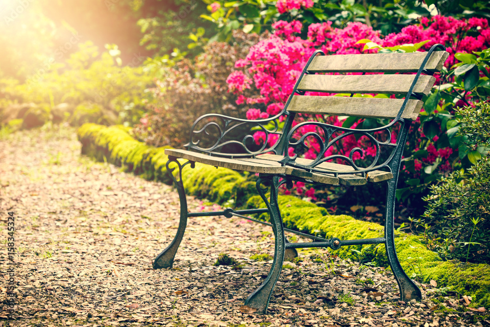Bench in the colorful park - obrazy, fototapety, plakaty 