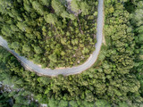 Fototapeta Uliczki - Aerial view of road in forest in Corsica