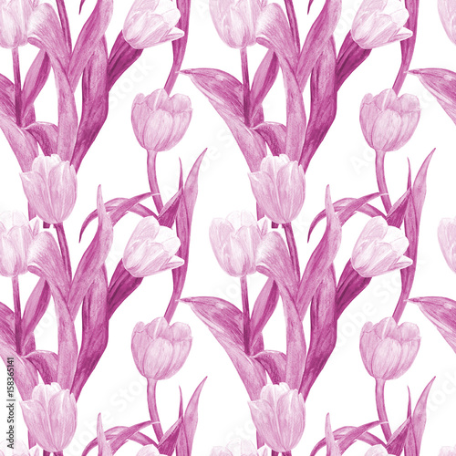 fashion-seamless-texture-with-lovely-tulips-watercolor-painting
