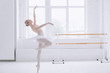 © alexshutter95 - Young ballerina in ballet class