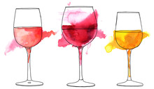 Set Of Vector And Watercolor Drawings Of Wine Glasses