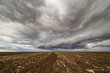 Storm clouds over arable land