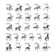 Carousel animal collection set. Vector Illustration.. Collection set