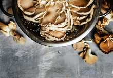Fresh Oyster Mushrooms, Food Background, Top View