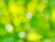 © Siam - the abstract background of natural light bokeh from Leaves with green yellow orange color