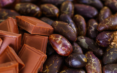 Close up of a cocoa beans and chocoalte bar on natural wooden table