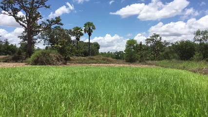 Sticker - The green area is the natural sight of farmers.
