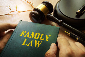 Wall Mural - Family law on an office table.