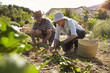 © Monkey Business - Mature Couple Working On Community Allotment Together