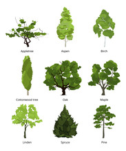 Vector Set Of Green Garden Trees. Nature Illustrations Isolate On White