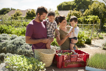 Family Working On Community Allotment Together