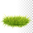 Tussock Of Green Grass