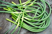 Bunches Of Freshly Picked Green Garlic Scape Stems