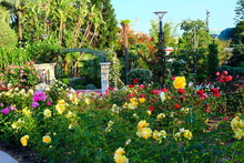 Princess Grace Rose Garden, Monaco