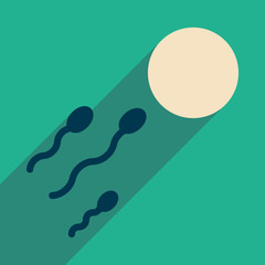 Flat web icon with long shadow egg sperm