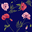 Seamless pattern with pink and red poppy flowers in botanical st