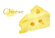 Cheese on a white background. Watercolor illustration made by hand. Isolated. 
