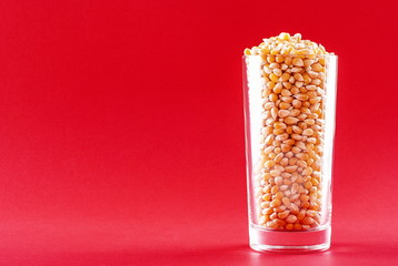 Wall Mural - Corn kernels in a glass on a red background