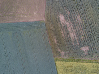 Sticker - Aerial view of agricultural field with traces