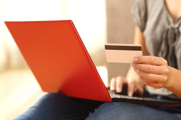 Sticker - Girl hands buying online holding credit card