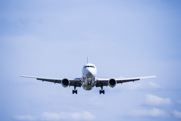 Wall Mural - The aircraft is flying horizontally