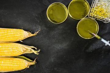 Canvas Print - laboratory testing corn products and foods