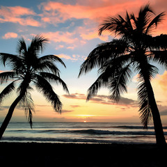 Coucher de soleil, plage de rêve et palmiers
