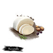 Mozzarella cheese with nuts and parsley digital art illustration isolated on white. Fresh dairy product, healthy organic food in realistic design. Delicious appetizer, gourmet snack italian meal