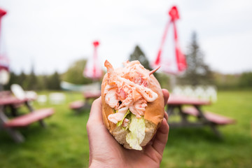 Lobster Roll