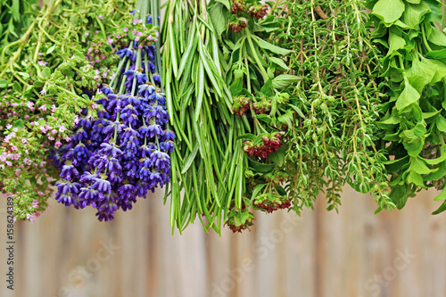 thymian, lavendel, rosmarin, oregano... Stock-Foto | Adobe Stock