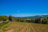 Fototapeta Tęcza - Beautiful landscape in Tuscany, Italy