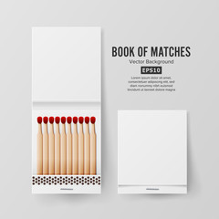 Book Of Matches Vector. Top View Closed Opened Blank. Empty Mock Up. Realistic Illustration