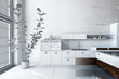 Modern white designer luxury kitchen interior