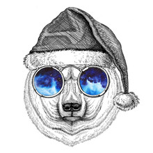 Polar Bear Wearing Christmas Hat New Year Eve Merry Christmas And Happy New Year Zoo Life Holidays Celebration Hand Drawn Image