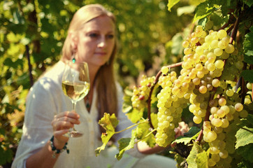 Wall Mural - Girl in the vineyards. Lavaux, Switzerland