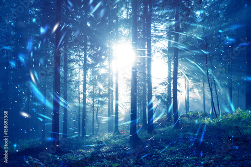 Zdjęcie XXL Błękitna mgłowa lasowa bajka z ślimakowatym okręgu świetlików bokeh tłem. Zastosowano efekt filtra koloru.