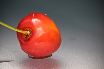 close up macro of beautiful fresh wet delicious tasty sweet cherry with green stem with drop of water on gray gradient background isolated with copy space text