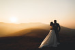Happy beautiful wedding couple bride and groom at wedding day outdoors on the mountains rock. Happy marriage couple outdoors on nature, soft sunny lights