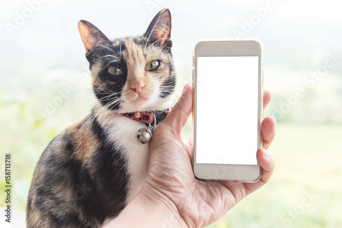 Hand Holding Smart Phone With Empty White Screen For Text And Cat