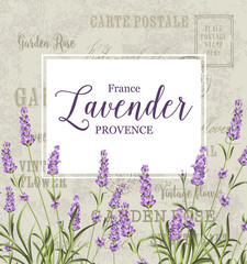 Fotomurales - The lavender elegant card. Vintage postcard background vector template for wedding invitation. Label with lavender flowers. Vector illustration.